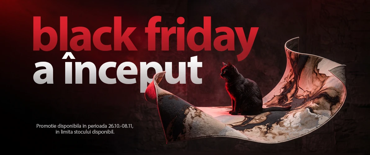 black friday a inceput